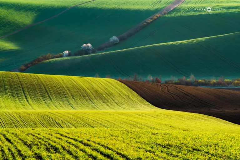 Wavy landscape rolling hills in Moravian Tuscany by Radek Severa Moravské Toskánsko