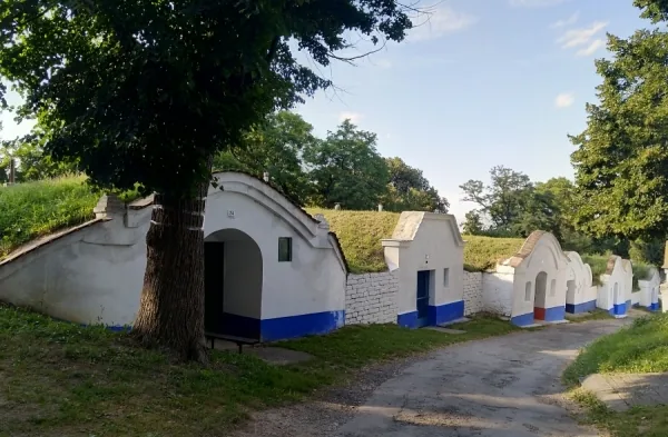 The Plže cellar village in Petrov, with its painted white cellars